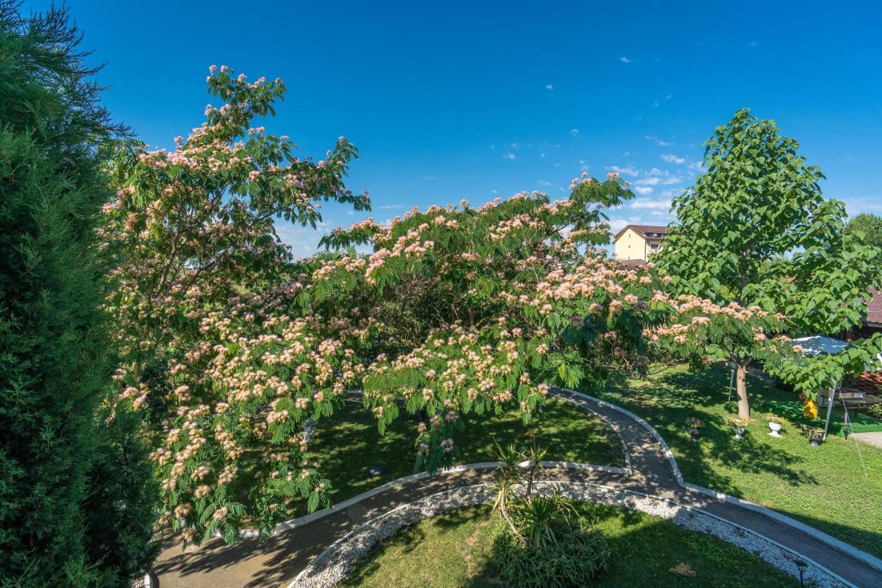 Vila Cataleya Venus Buitenkant foto